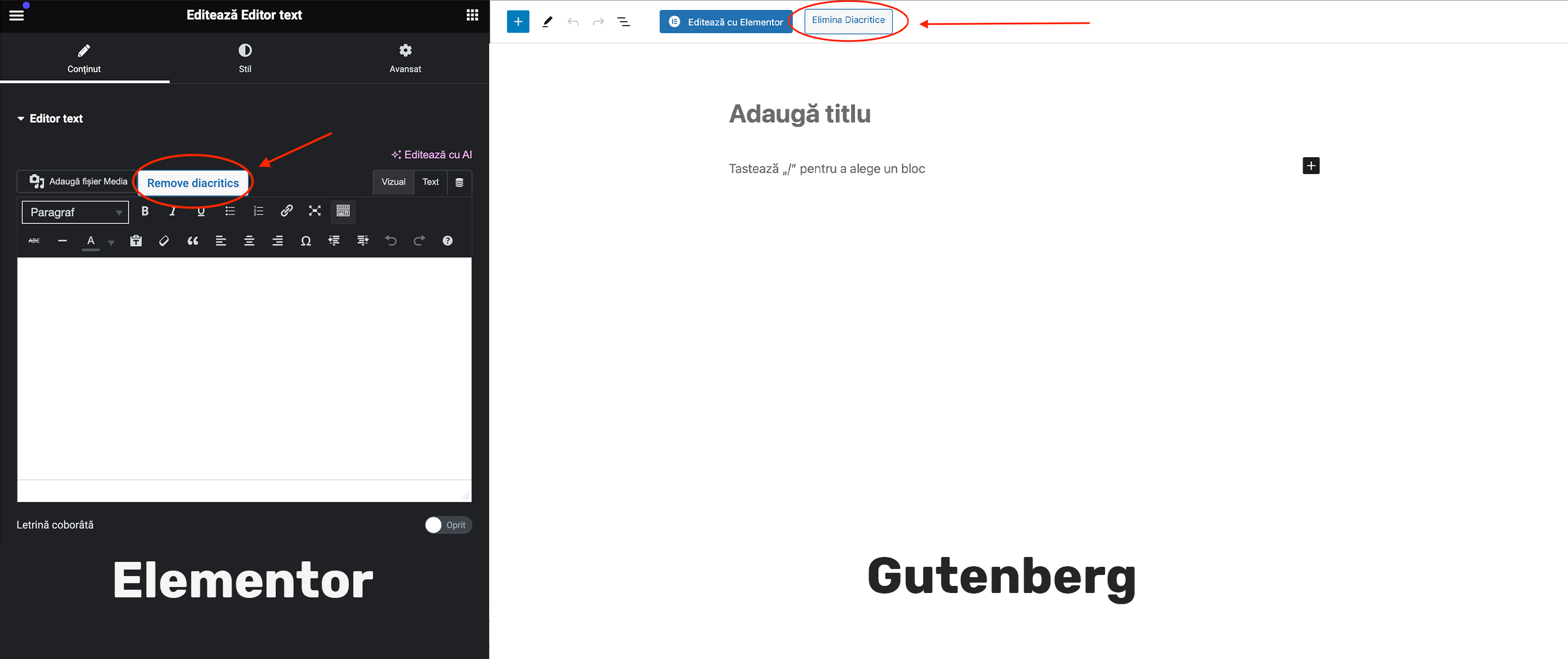 Buton in Elementor Text Editor & Gutenberg Editor