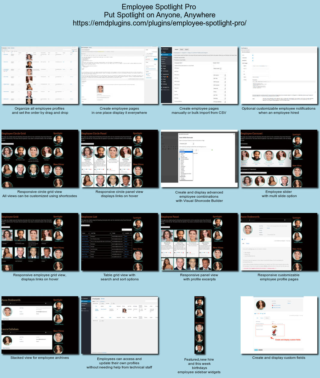 Customize single, archive pages from plugin settings