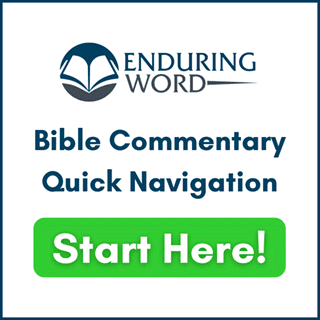 Enduring Word Bible Commentary plugin displayed on as a widget (screenshots-1.png).