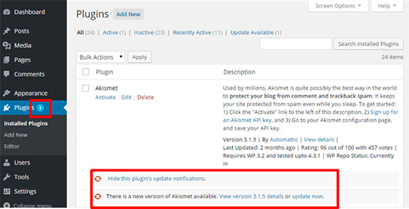 Plugin update notification is visible with option to hide it.
