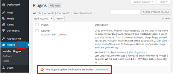 Plugin update notification is hidden with option to unhide it. Note that notifications elsewhere in interface are hidden too.