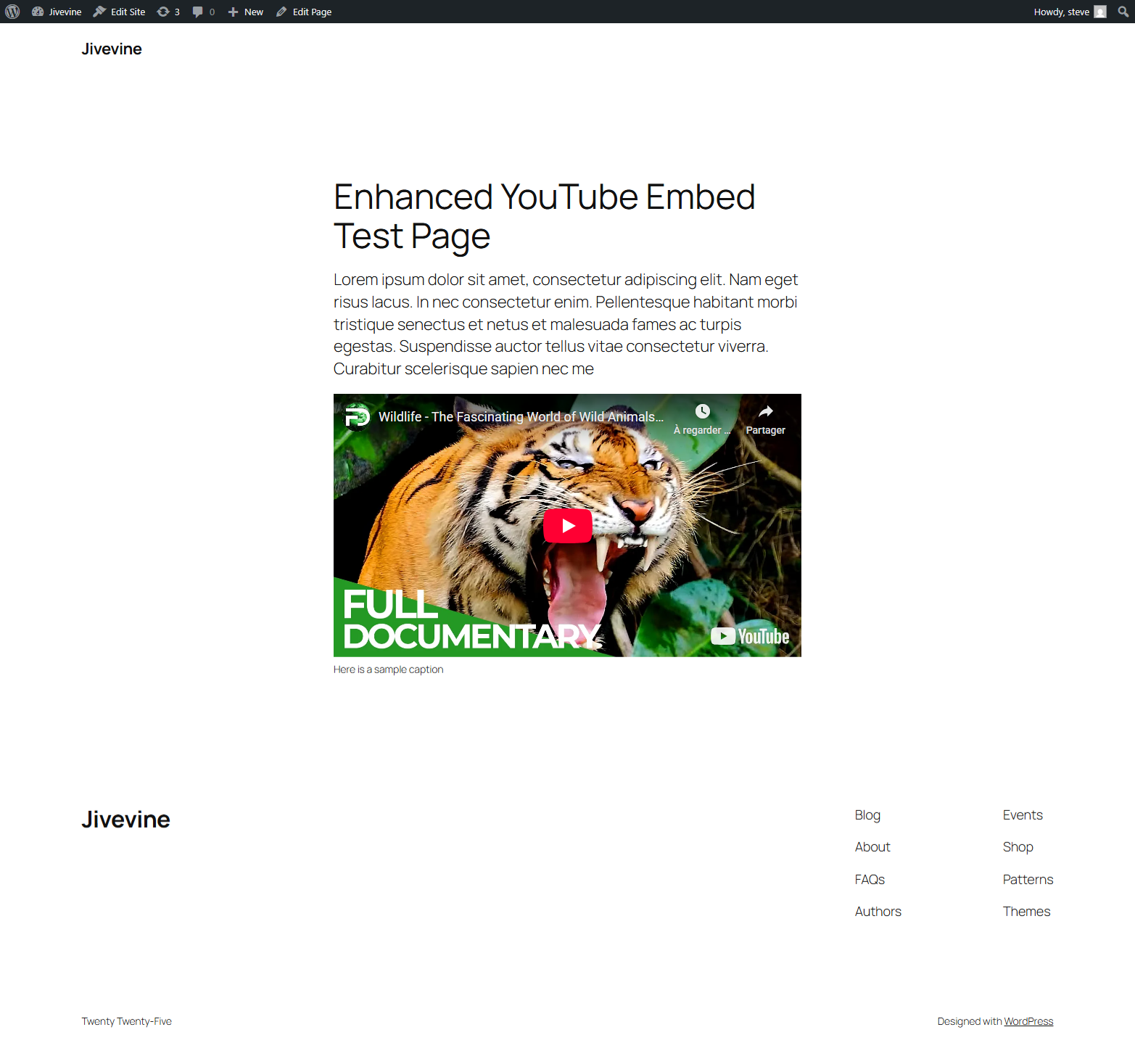 Front end diplay of shortcode or block