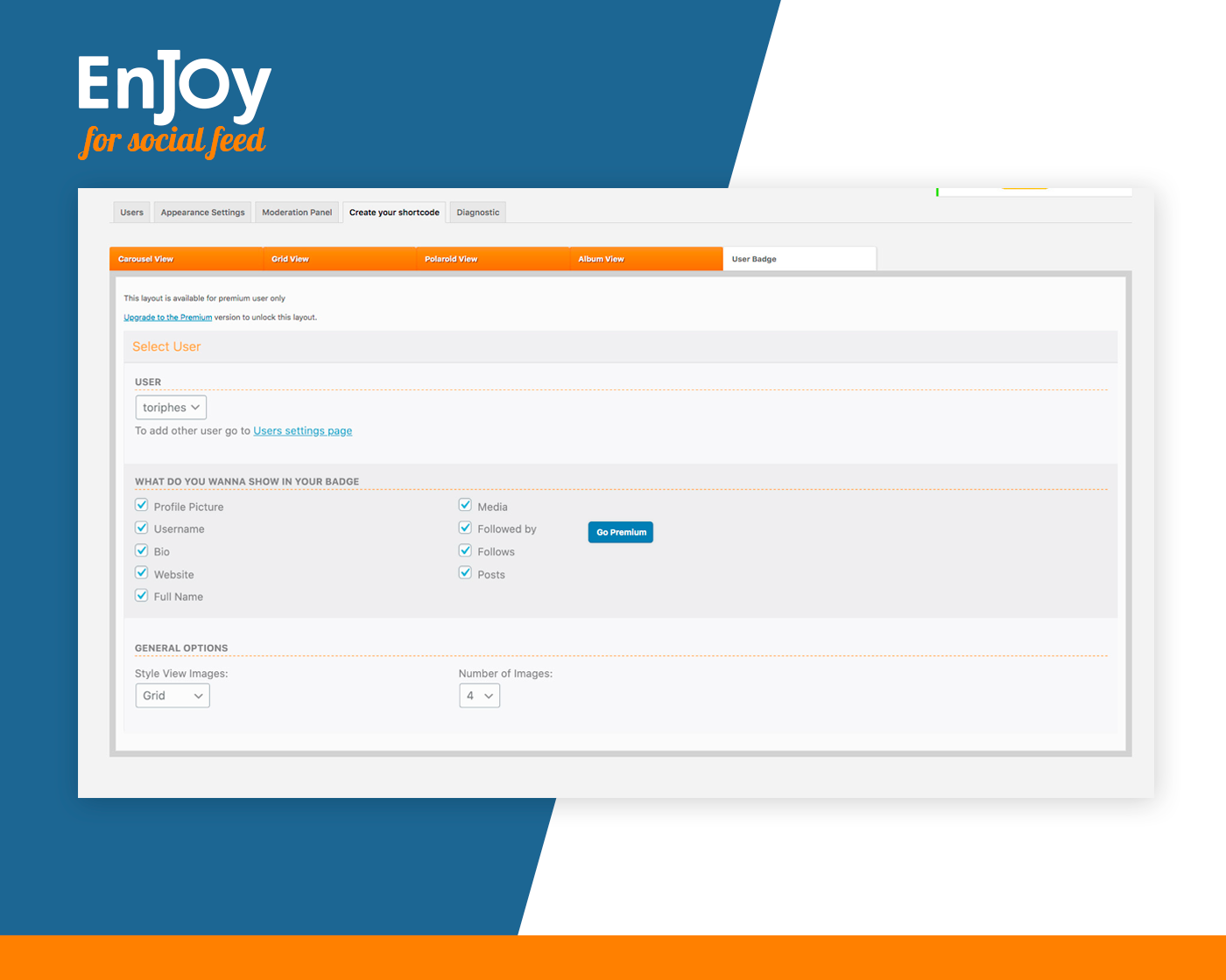Enjoy Social Feed Plugin for WordPress settings page2