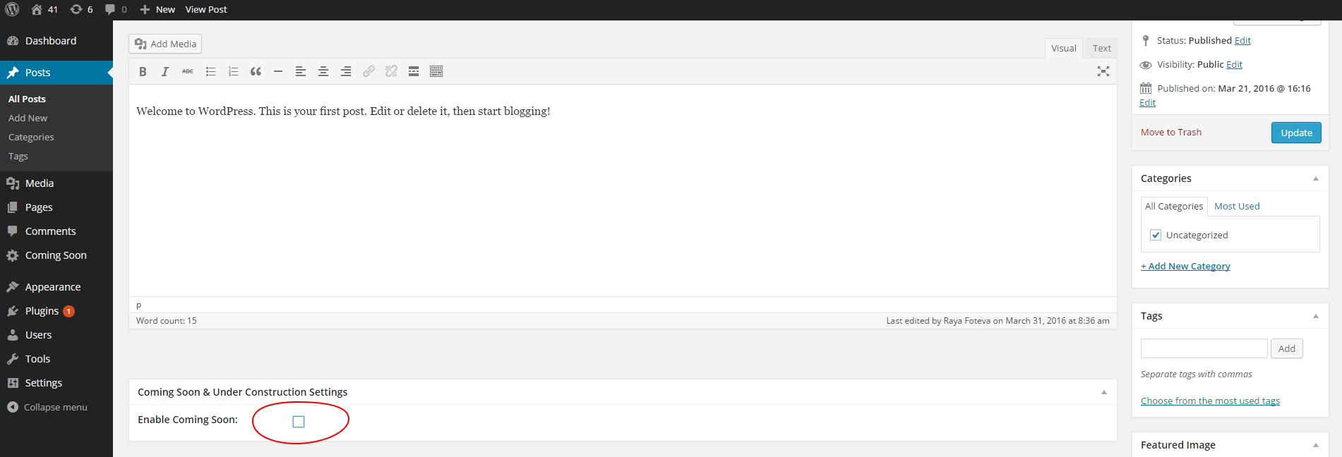 Backend single post admin page look like