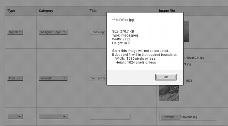 Error message shown to user ( in a recent version of Firefox ).
