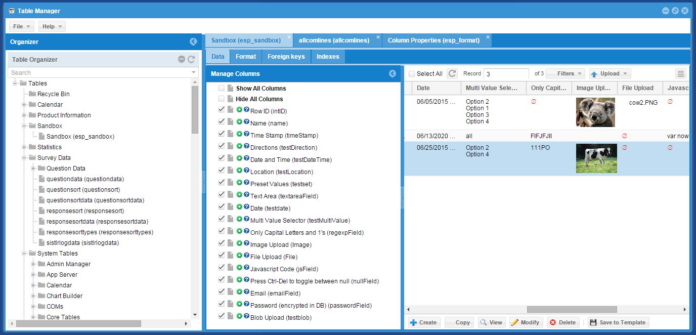 Enhanced SQL Portal->Table Manager