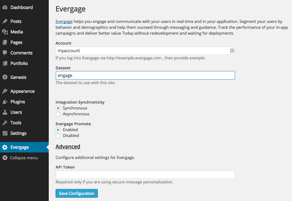 **Plugin configuration screen** - Just enter your account and dataset to get started.