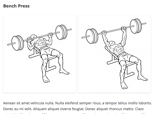 Exercises being displayed on the front end.