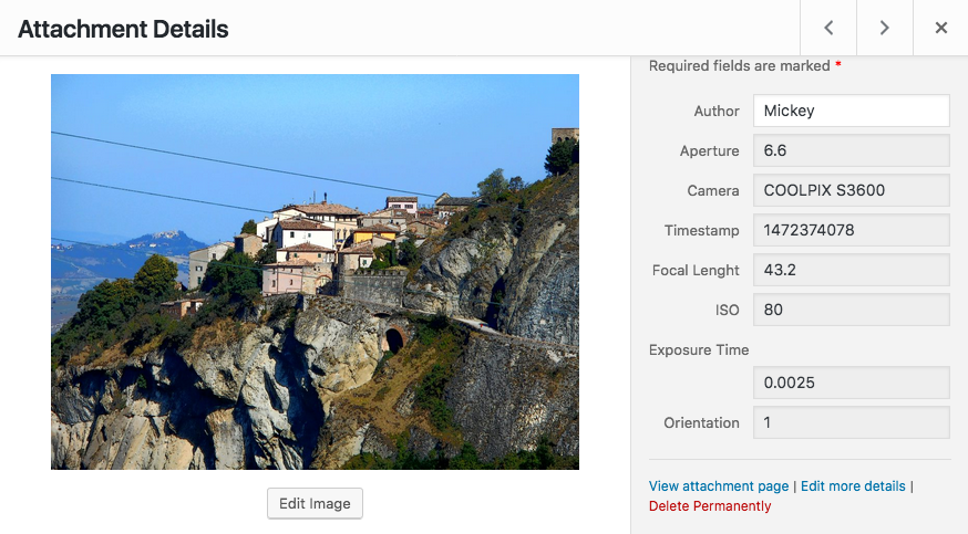 EXIF metadata in readonly form fields (Insert Media Screen)