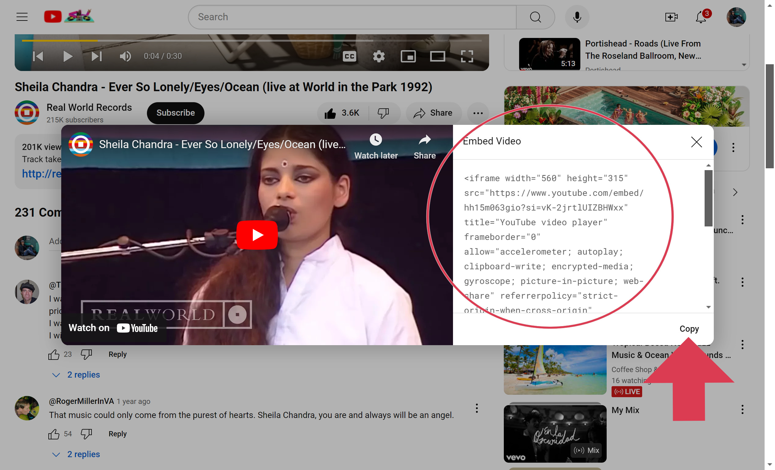 Youtube Video iframe code as basis for the integration into your plugin