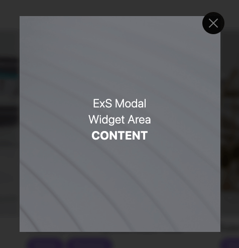 Widget area widget frontend example
