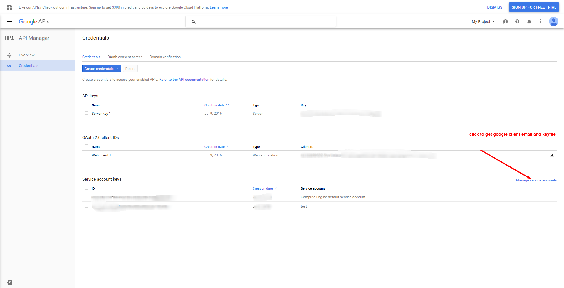 Click on manage service accounts to get google client ID and key file.