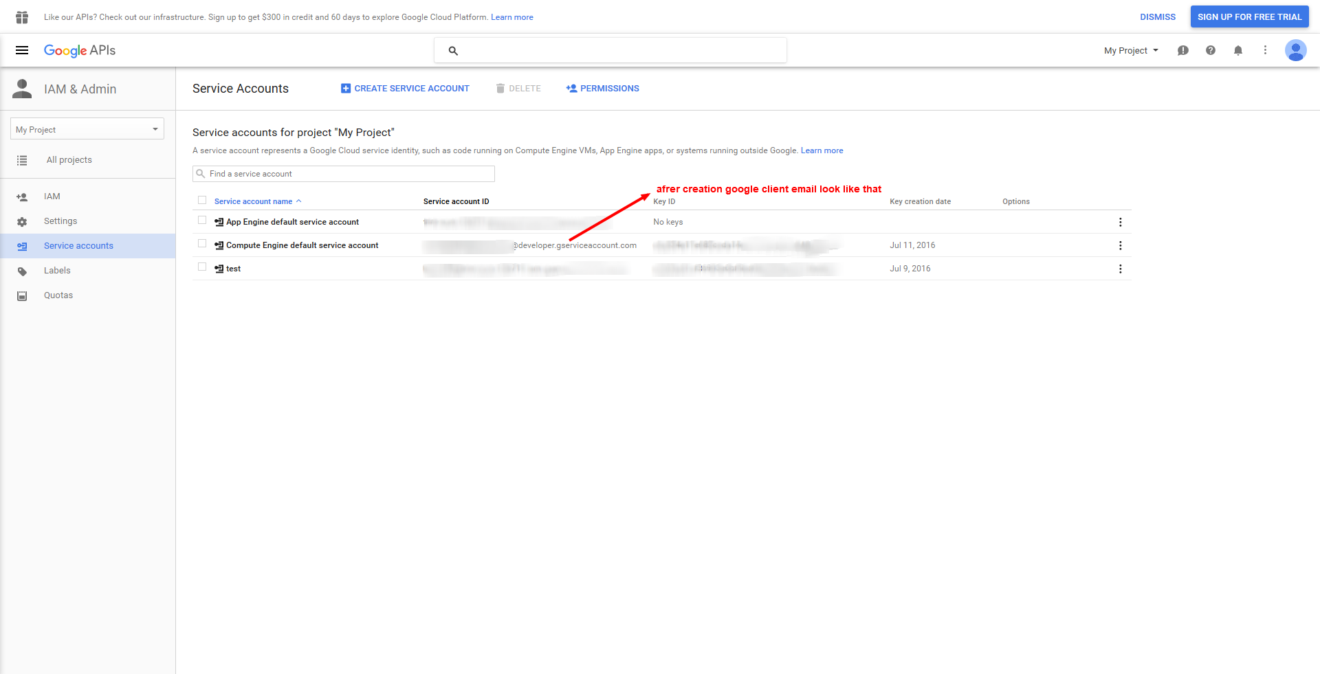 You will see your google client email end with "@developer.gserviceaccount.com".