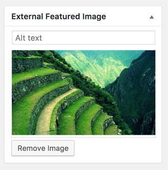 After Save post you can view your image in front-end