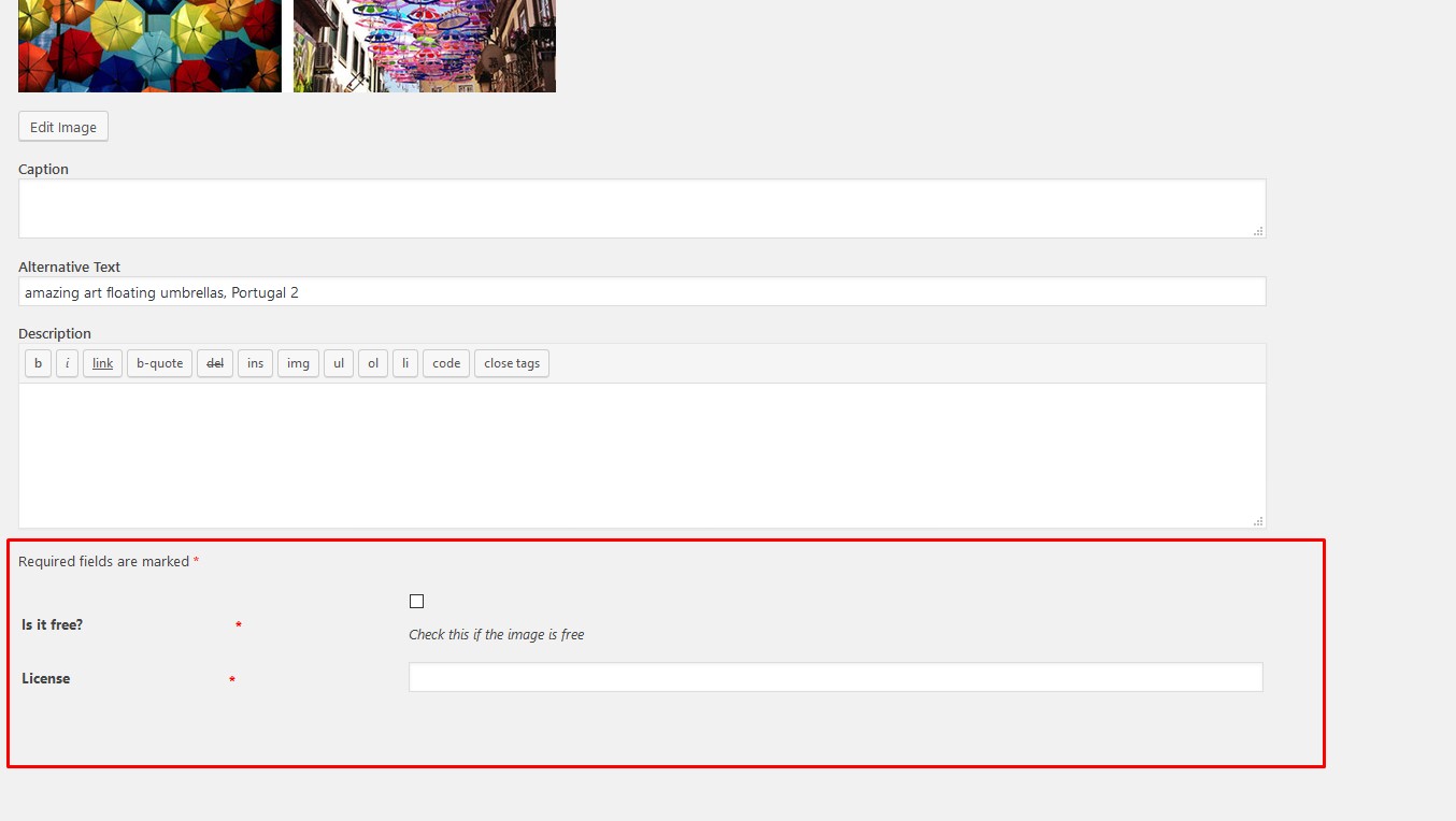 Showing extra fields at attachment edit page.