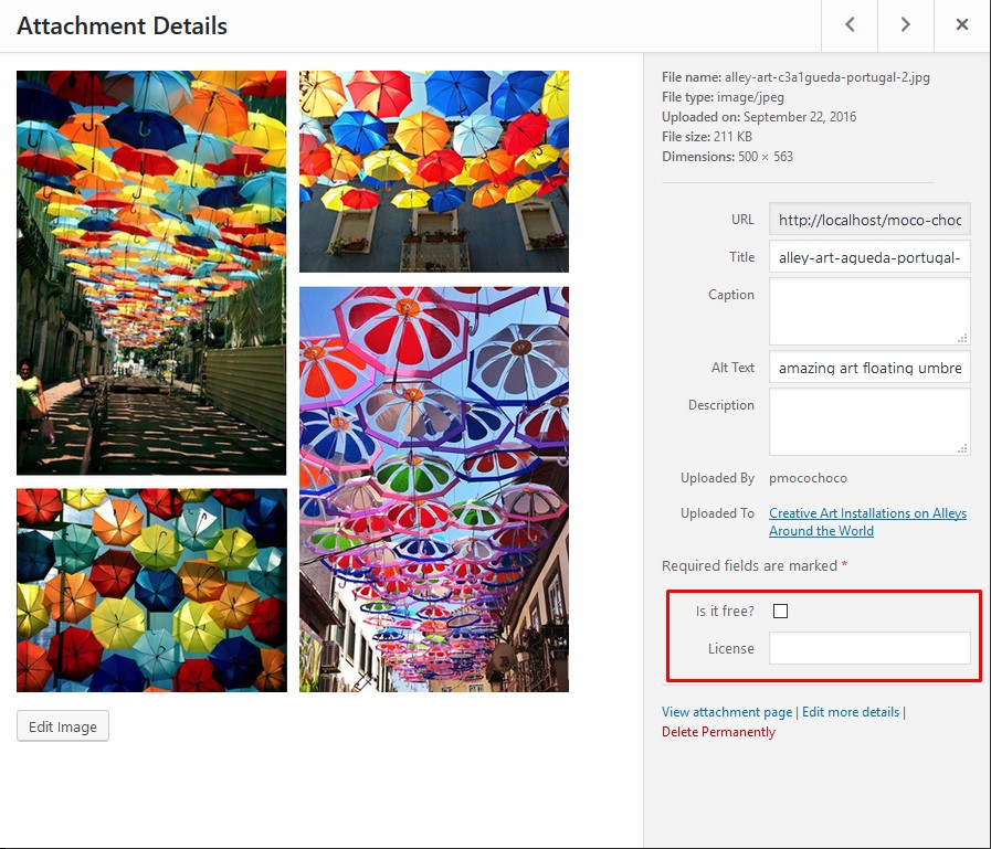 Showing extra fields at attachment quick edit.