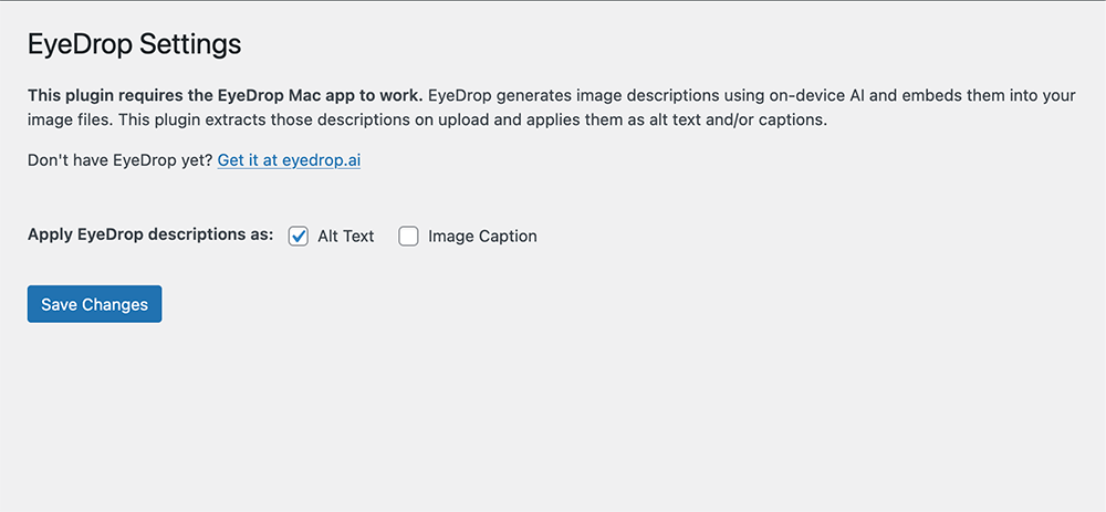 An uploaded image showing the automatically applied alt text in the WordPress Media Library.