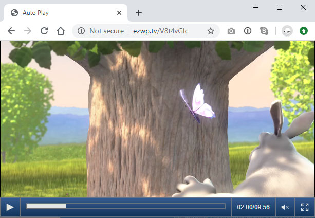 Place your EZWebPlayer embed block onto your WordPress page