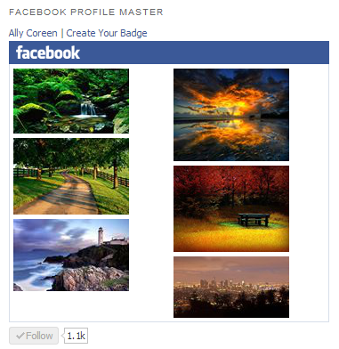 Facebook Profile Master Photo Widget and Buttons Widget