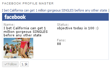 Facebook Profile Master Page Widget and Buttons Widget