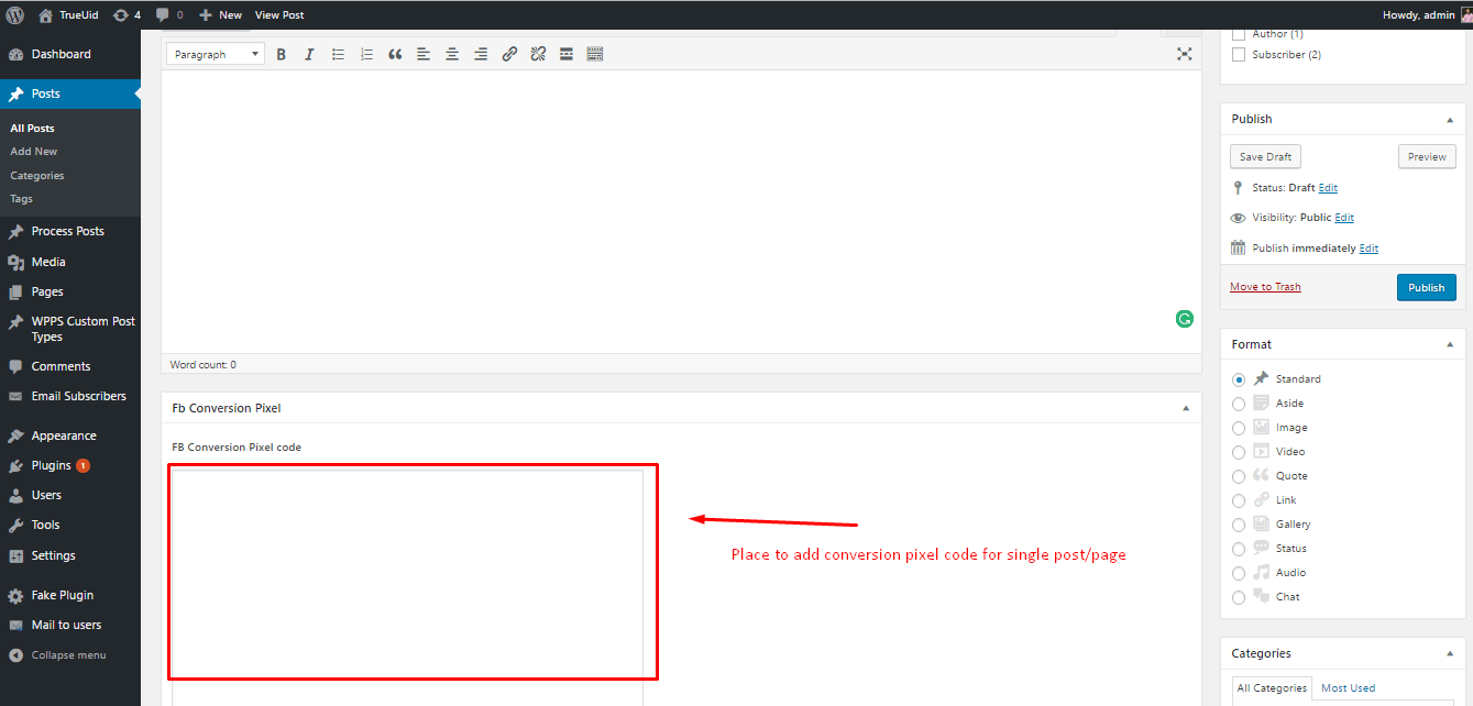 Place for conversion pixel code on each page/post