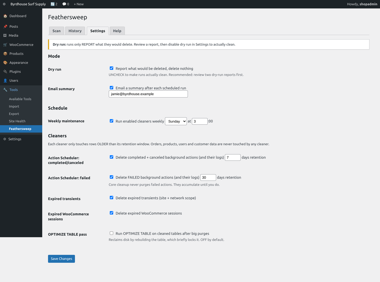 Settings: the dry-run switch, the weekly schedule, and per-cleaner retention windows.