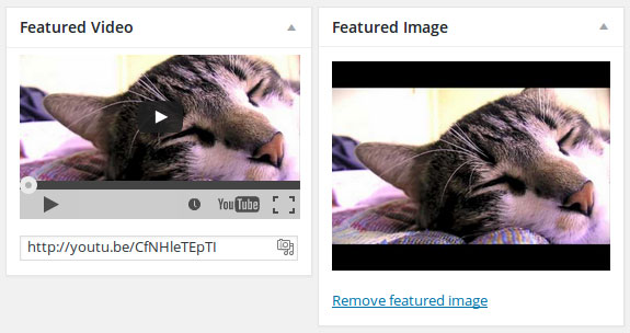 Featured Video and Featured Image boxes on the post edit screen.