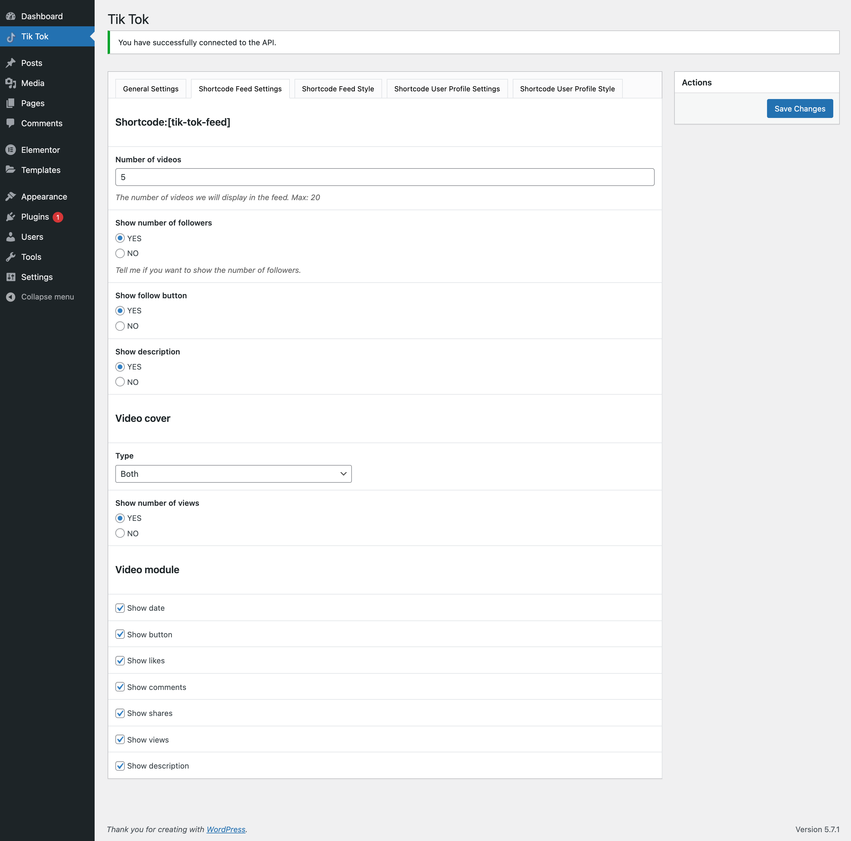 Tik Tok Feed / Shortcode feed settings