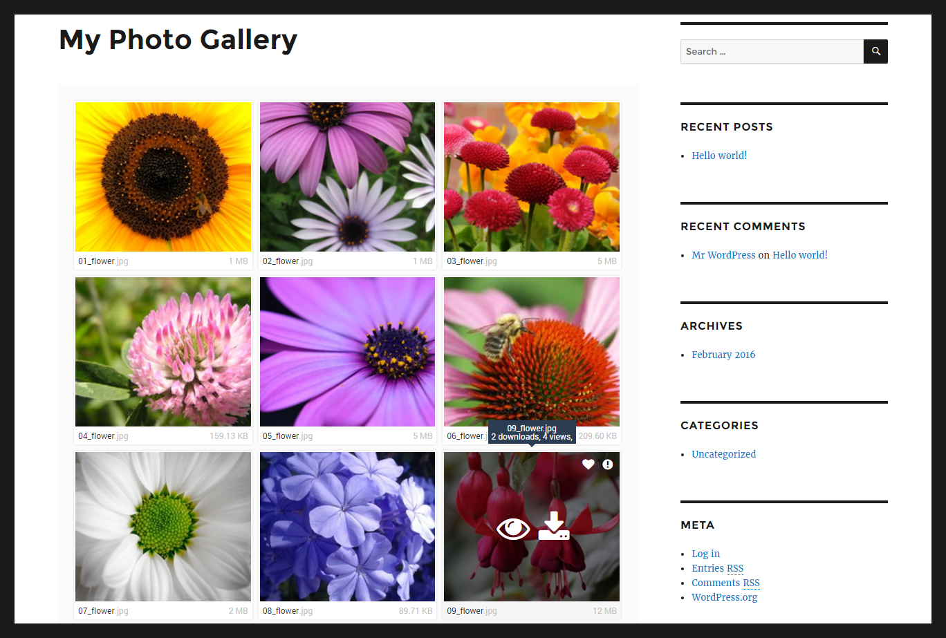 Files.fm Gallery’s grid view with image thumbnails