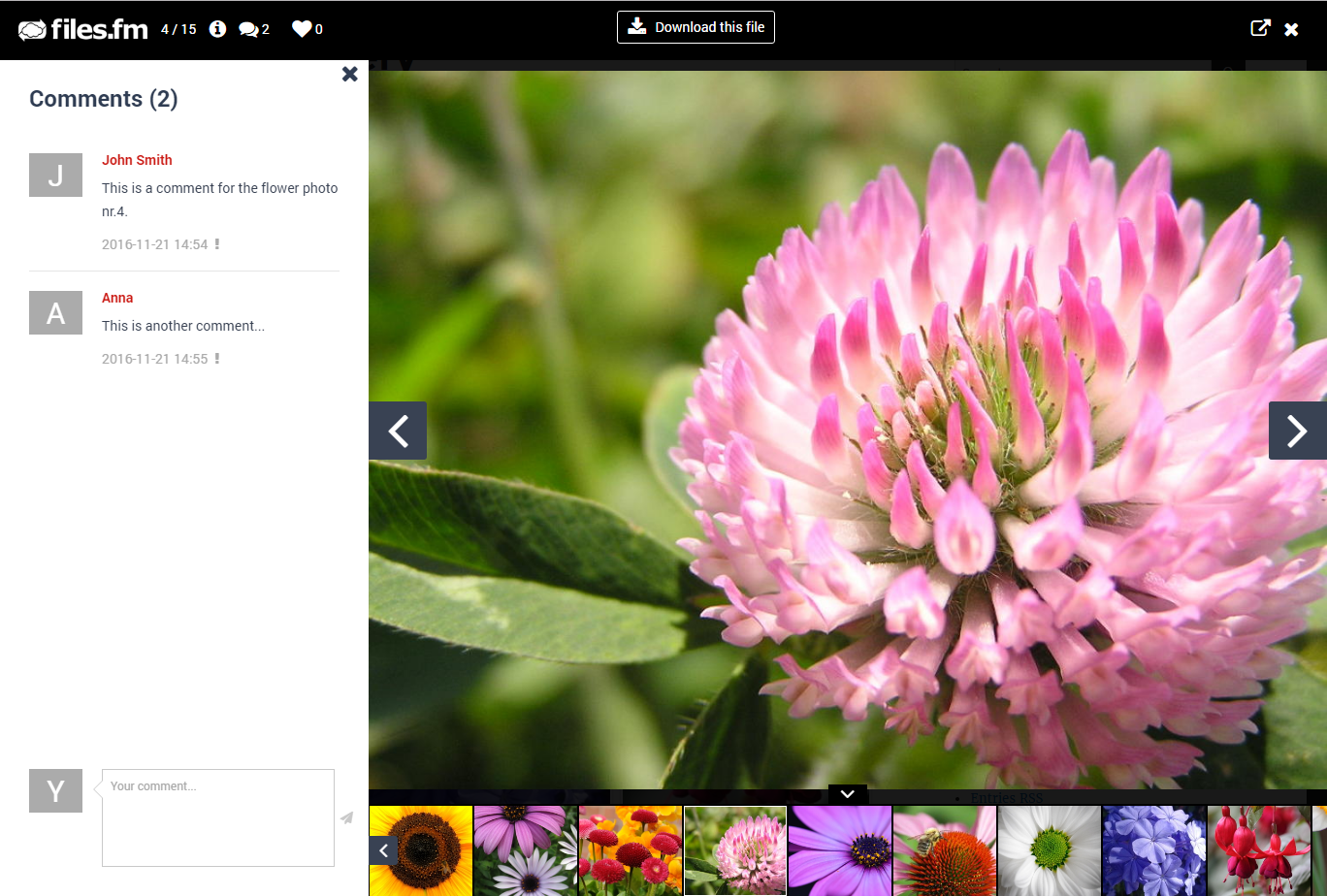 Files.fm Gallery’s light-box view opened file comments panel
