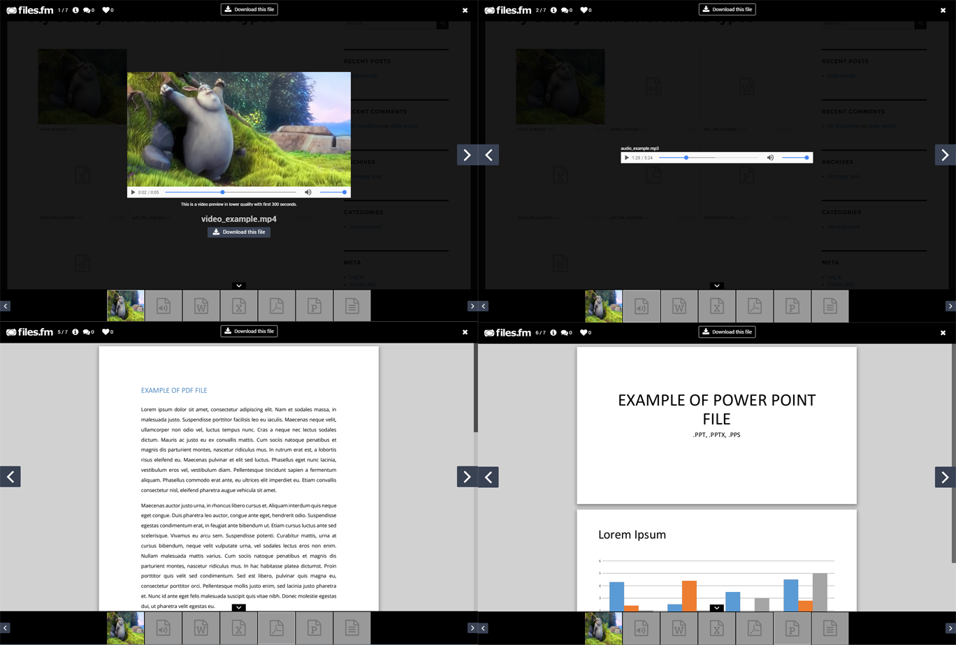 Files.fm Gallery’s light-box view with different type files previews (video, audio, documents)