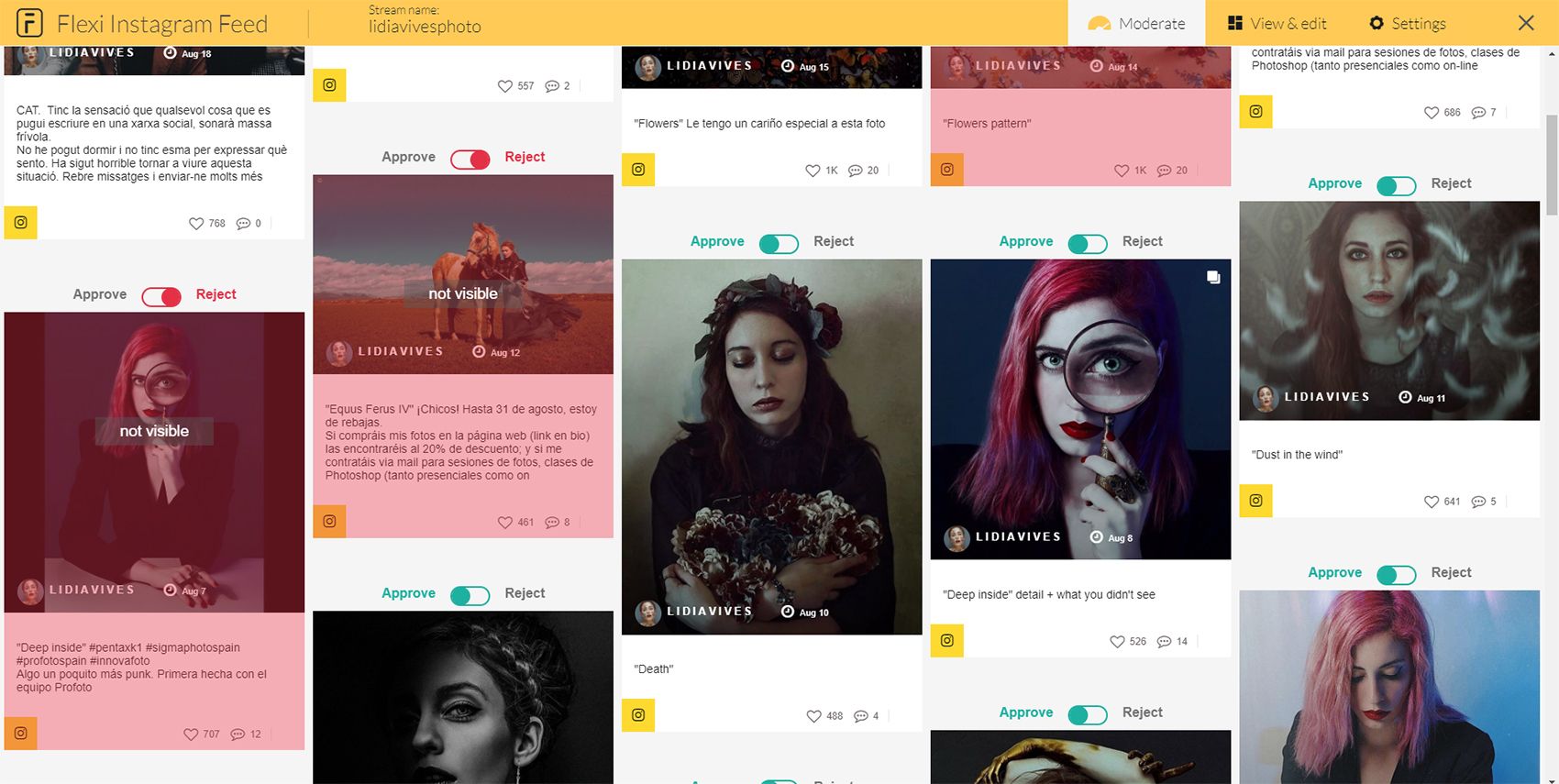 Pro version - moderation instagram feed