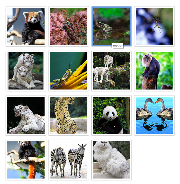 A Flickr Set embedded on a page