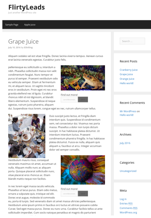 Can use multiple images with lead capture within the same post/page
