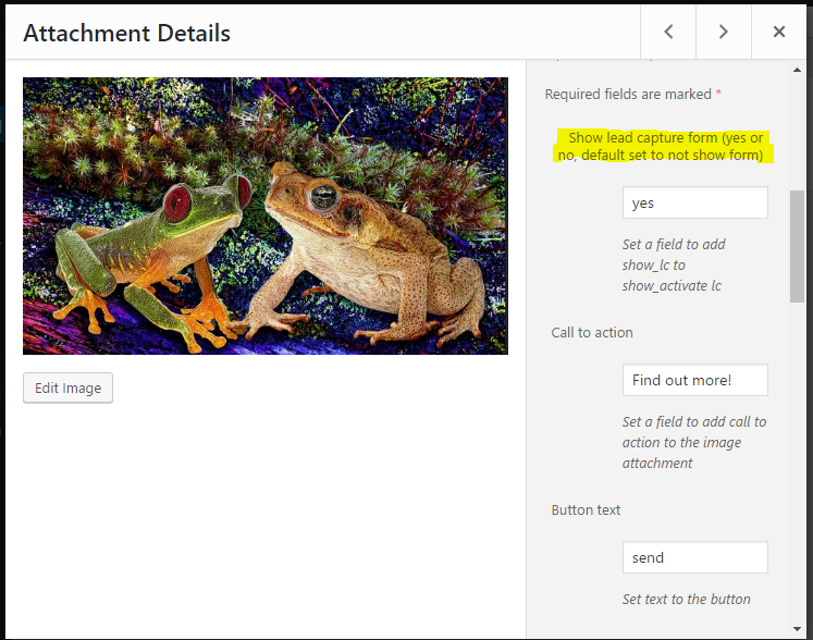 Options to activate image lead capture on the media library page.  To activate set 'show lead capture form' to yes.
