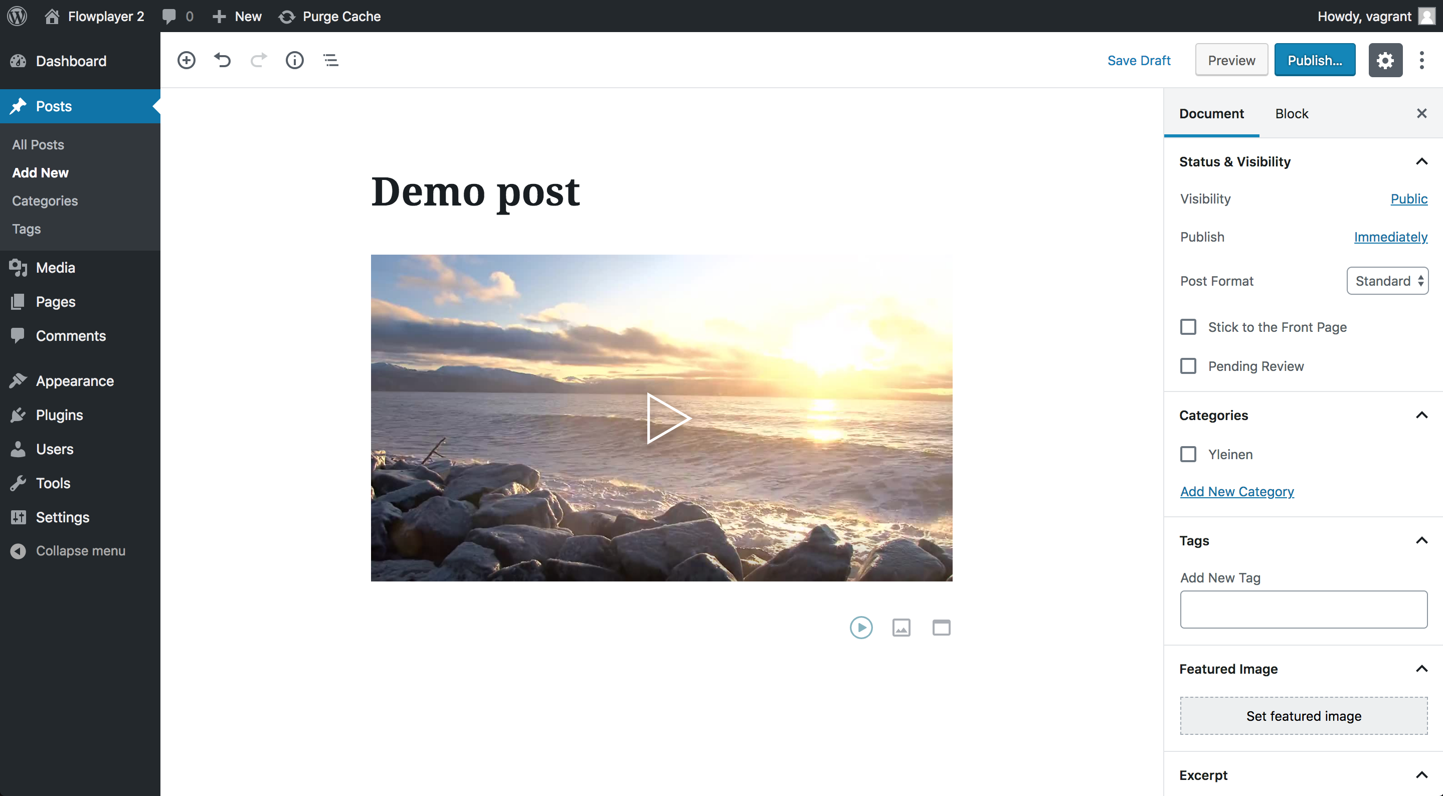 Preview your embed in Gutenberg editor