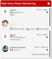 Real-time visitor monitoring