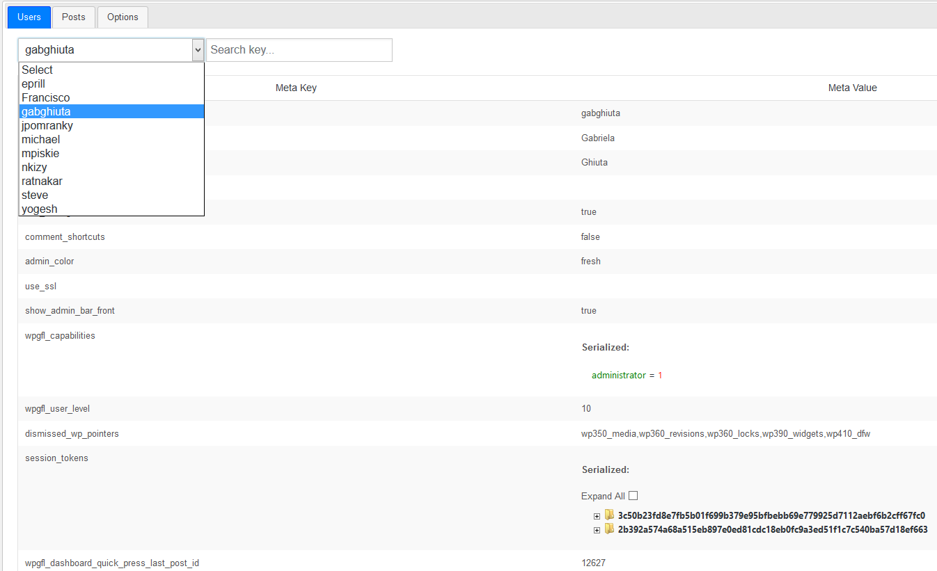 Display for debugging meta data