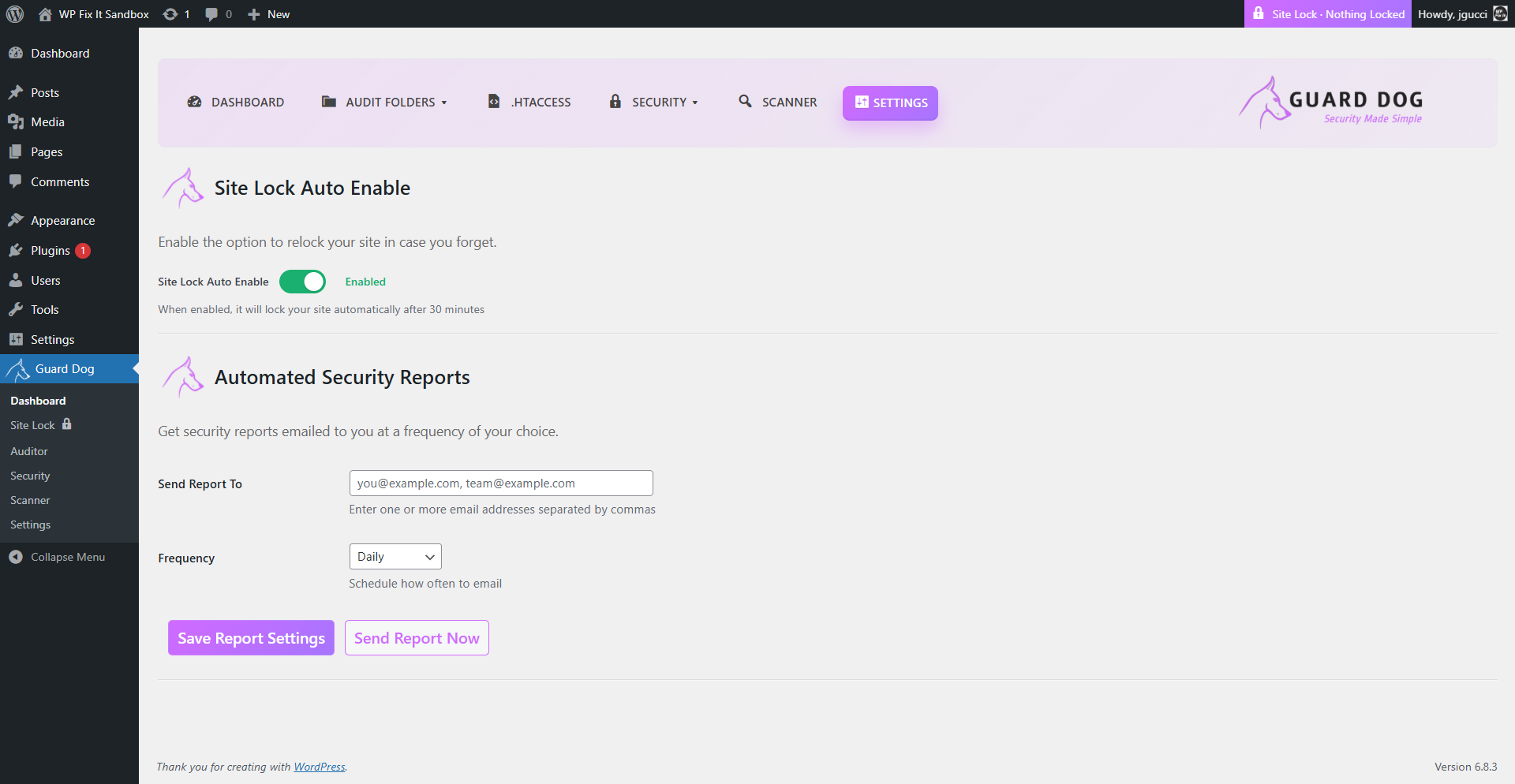 **Main tab** for auditing your root WordPress install directory.