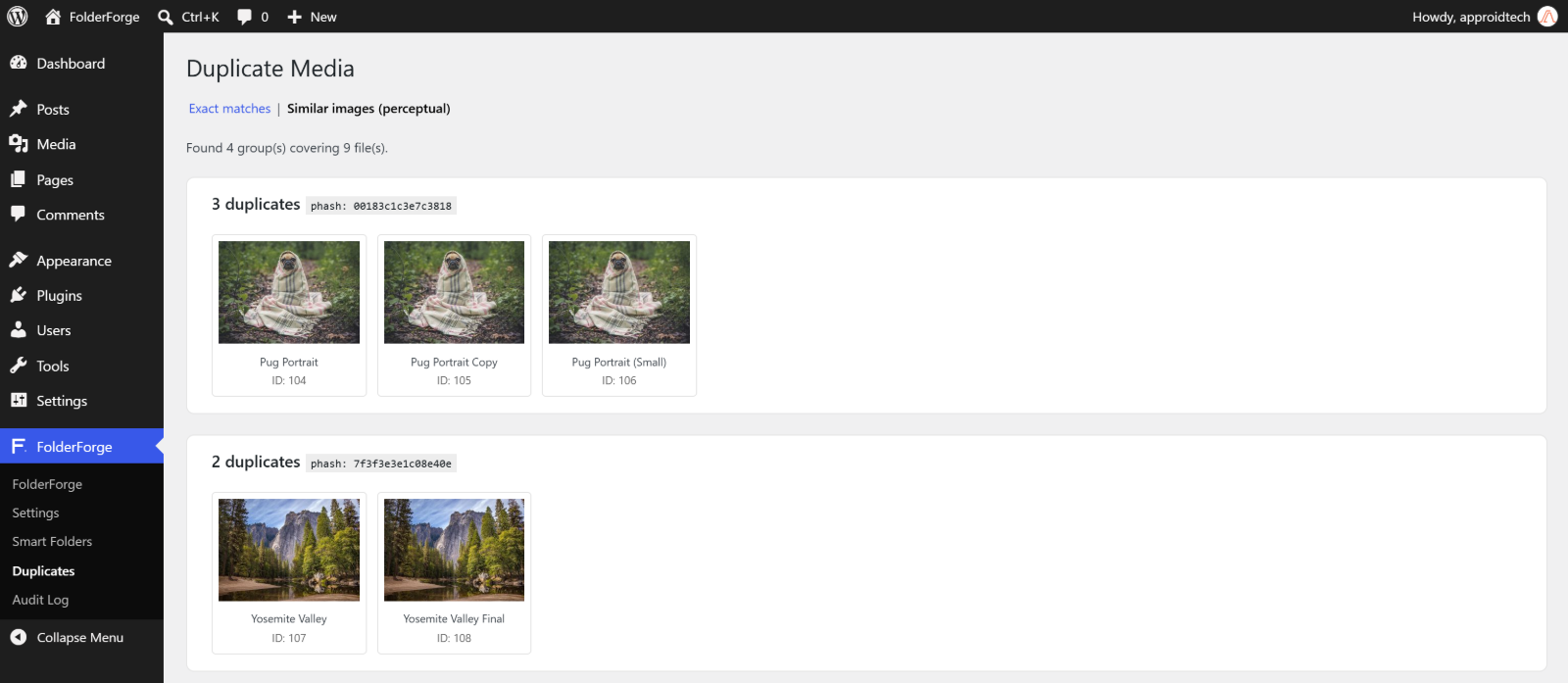 Duplicate detection page showing exact and perceptually-similar image groups.