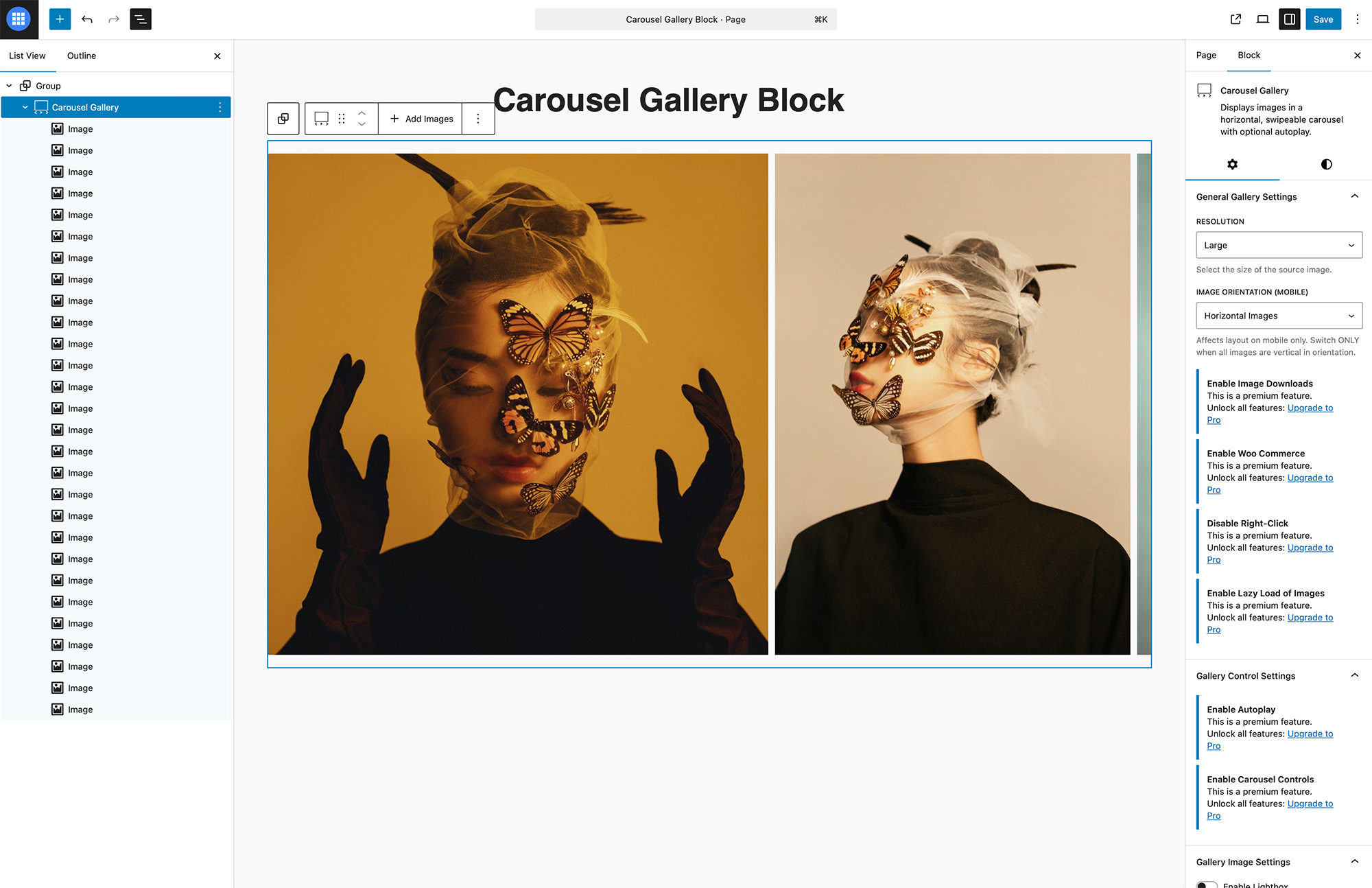 Carousel Gallery block populated with images