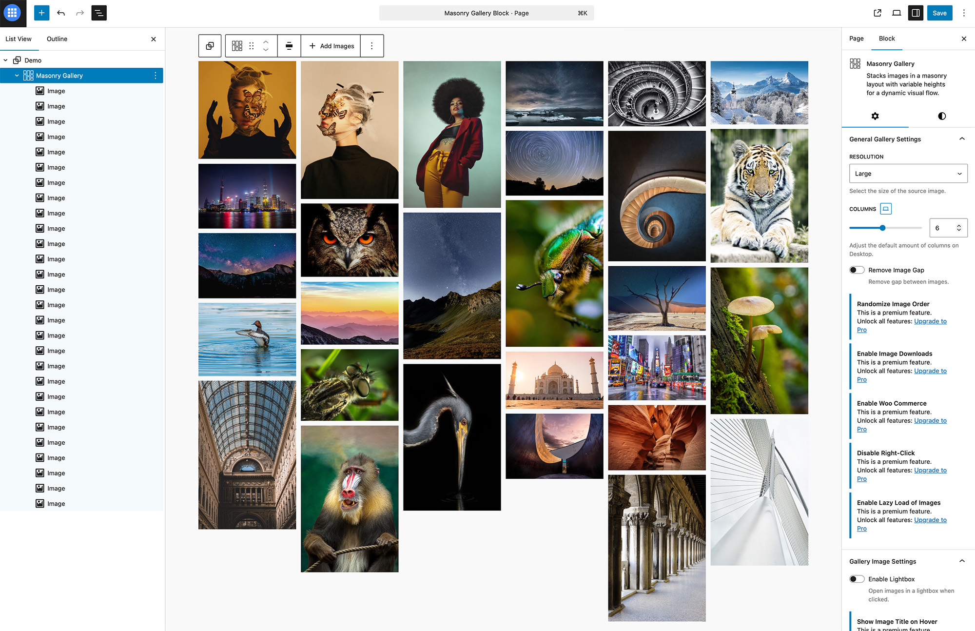 Masonry Gallery block populated with images