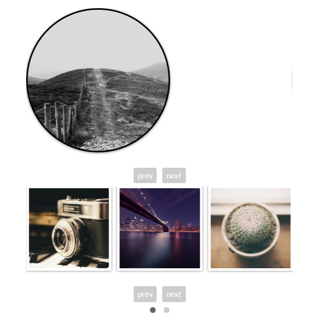 Have multiple types, shapes, sizes and functionalities for multiple galleries on the same page.