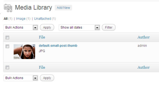 Default WordPress media upload. As you can see, the title needs manual editing.