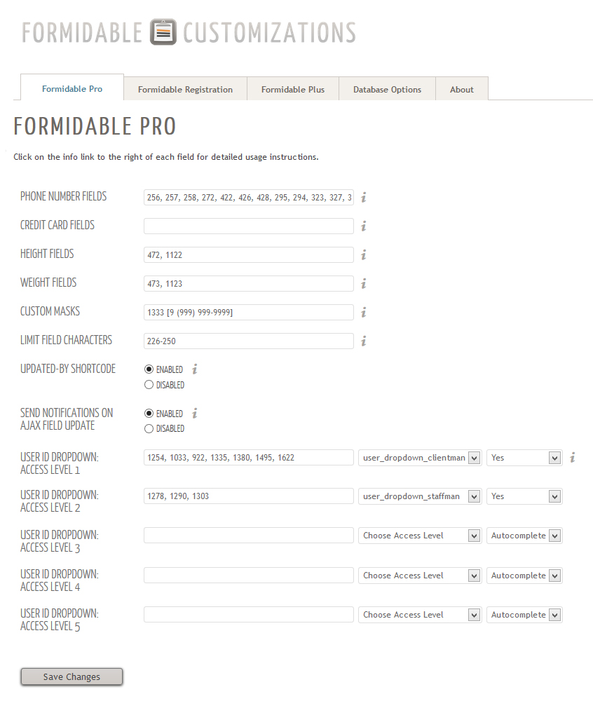 The Formidable Pro customizations page. Click on the info icons to the right of each field for detailed usage instructions.