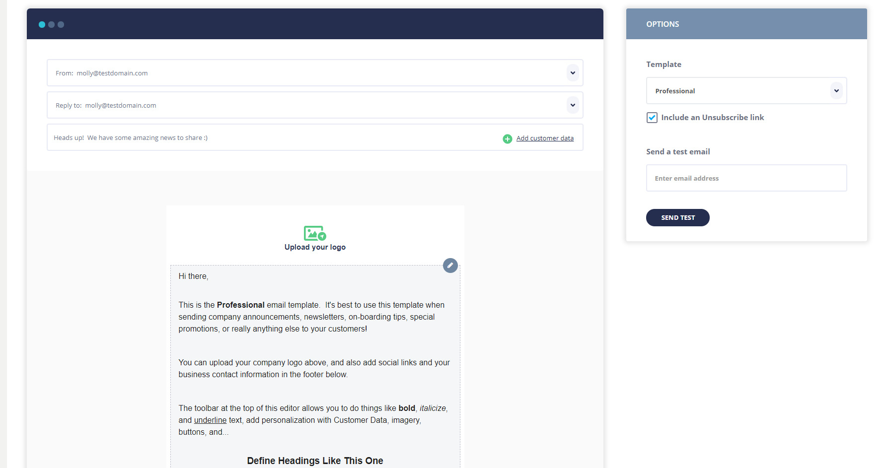 An example of the Formilla Edge email editor with the "Professional" template loaded.  Include your company logo, social links, and company information.
