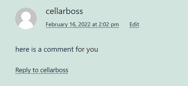 Part 1 of the comment form area for not logged in visitors.