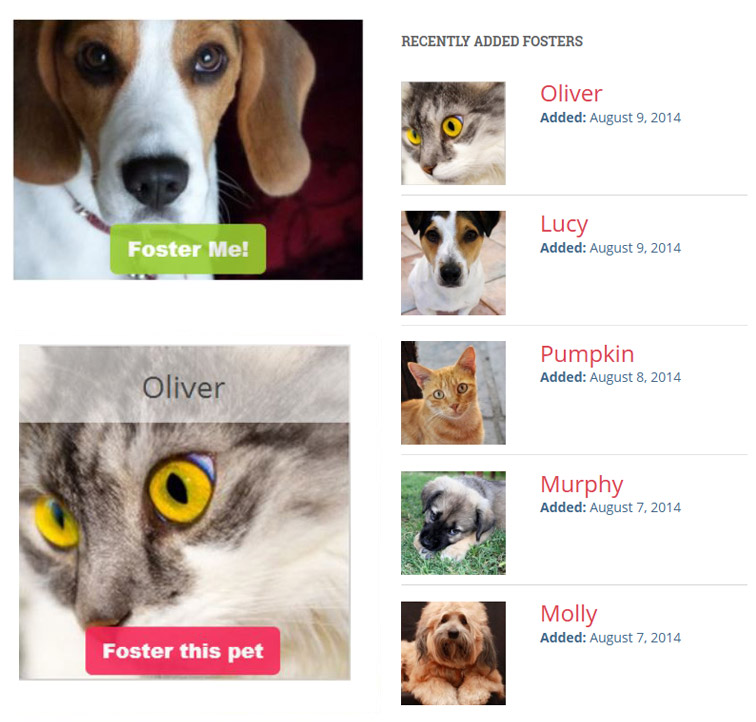 Widget Examples