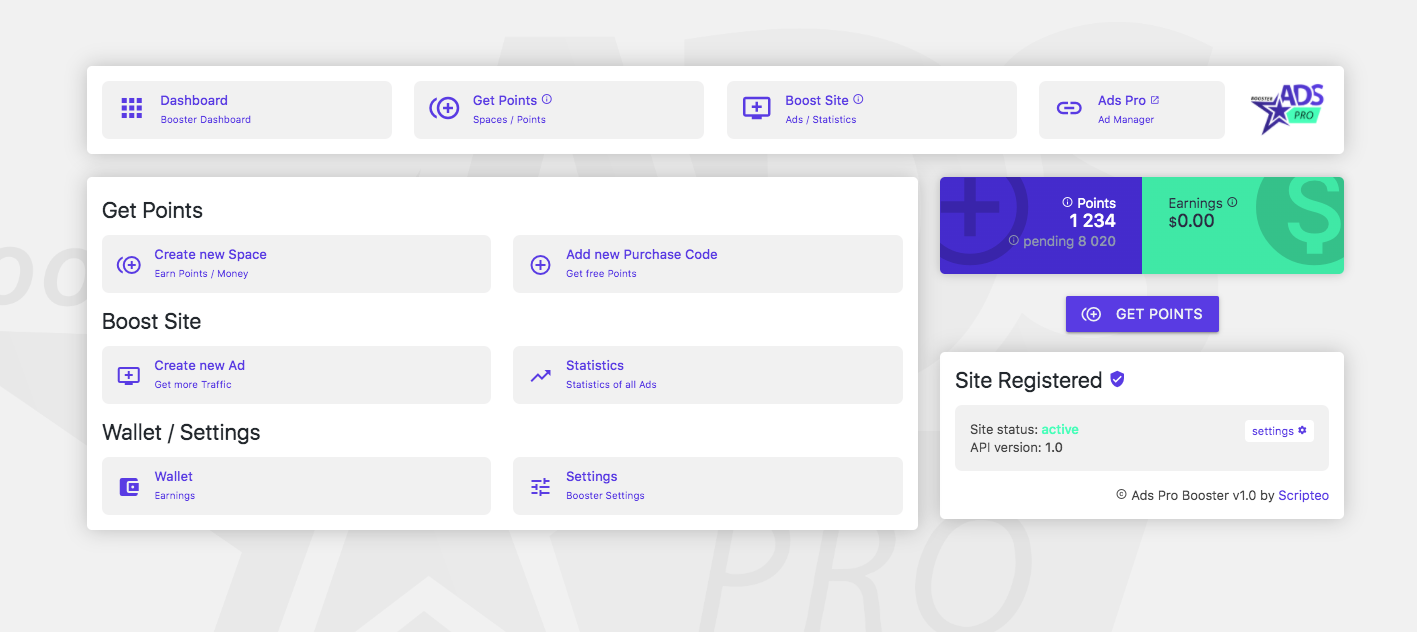Dashboard of Free WP Booster by Ads Pro