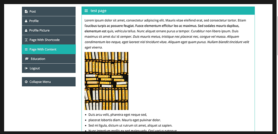 Frontend Dashboard Pages Content